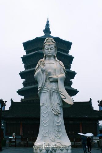 DSCF6736