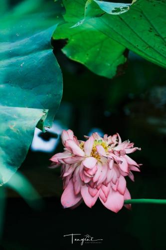 DSCF5163