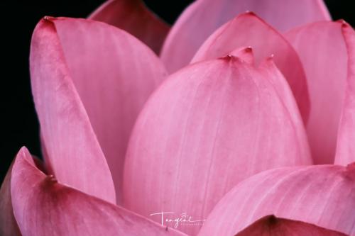 DSCF5190