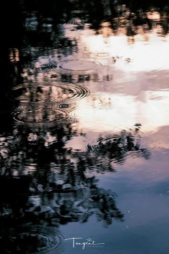 DSCF6379